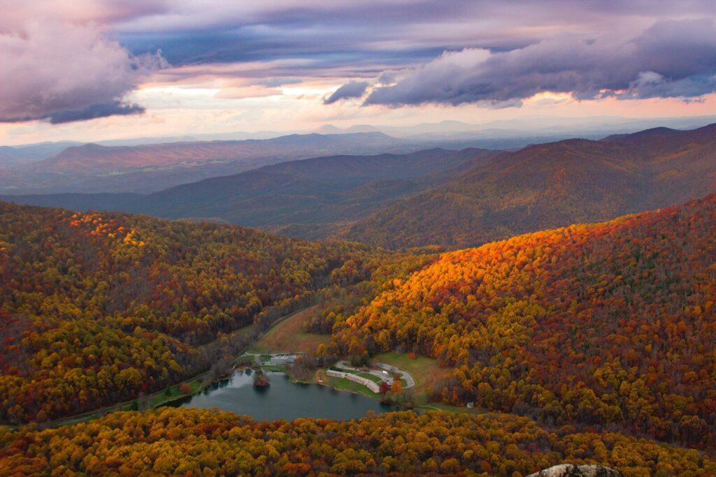 aerial photo of forest near body of water during daytime